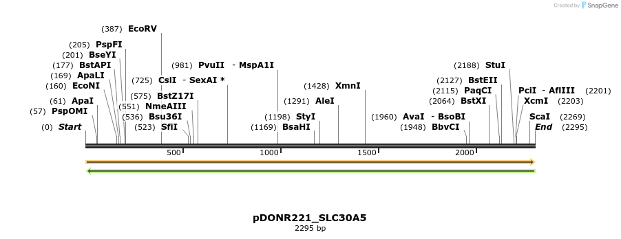 253554_map