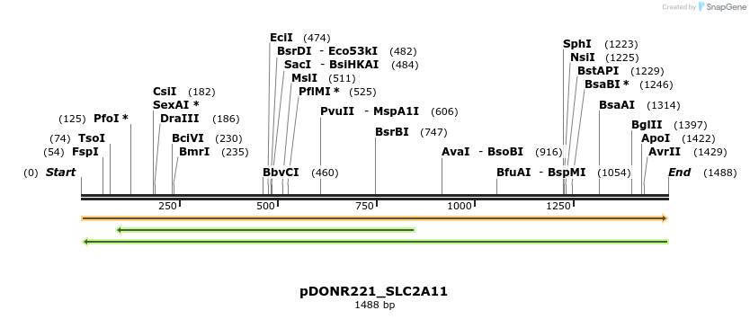 253558_map