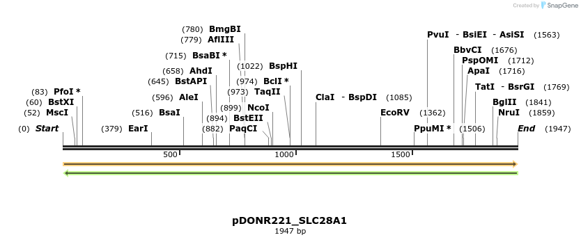 253560_map