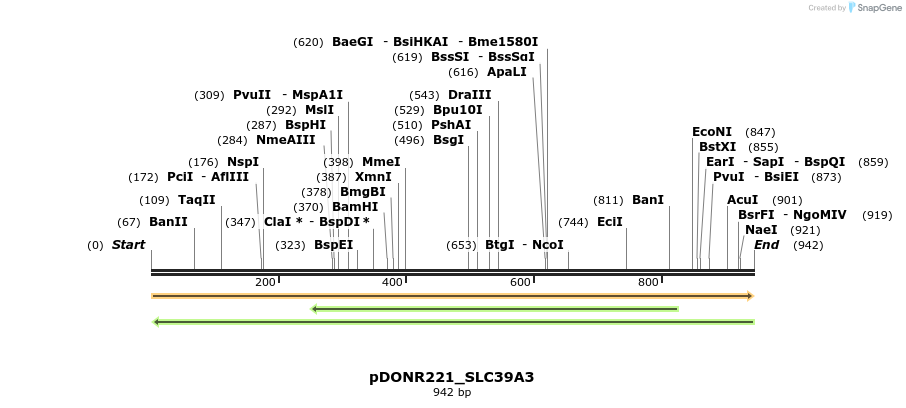 253562_map