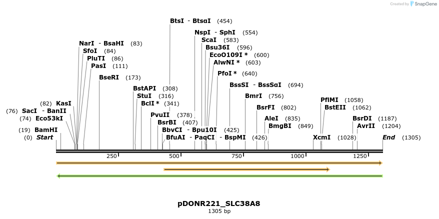 253564_map