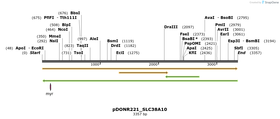 253566_map