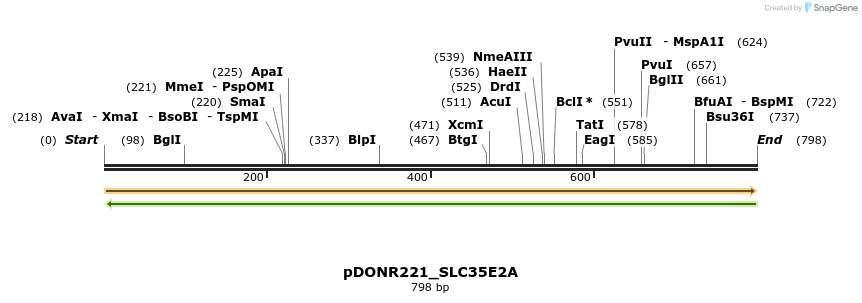 253572_map