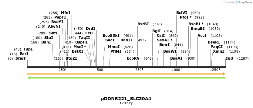 253578_map
