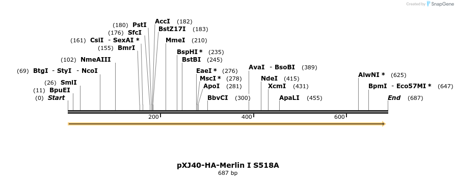 25358_map