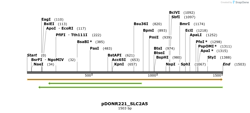 253580_map