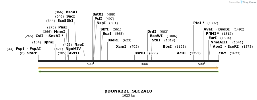253582_map