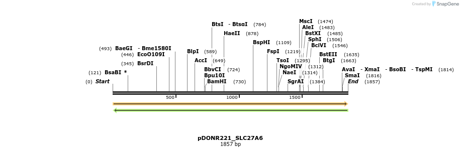 253584_map