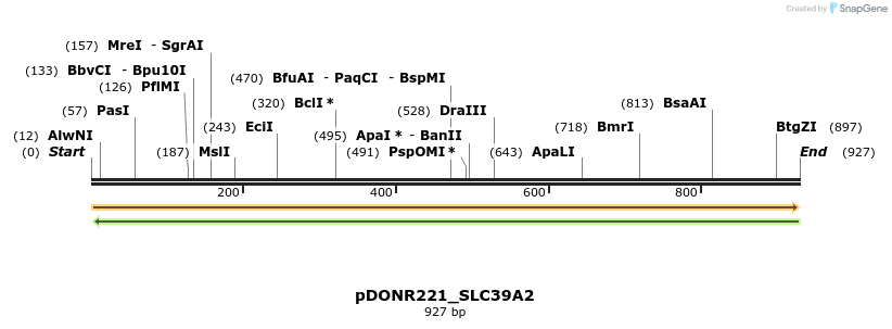 253586_map