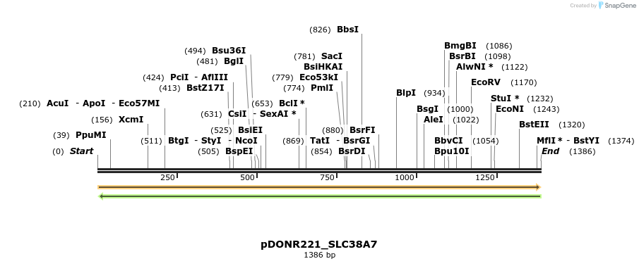 253588_map