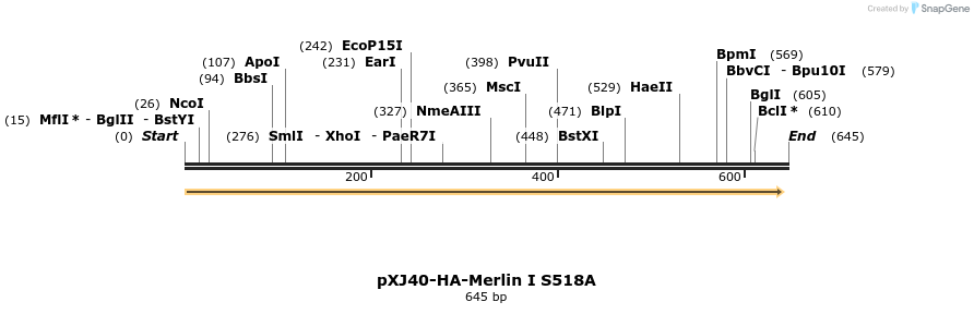 25359_map