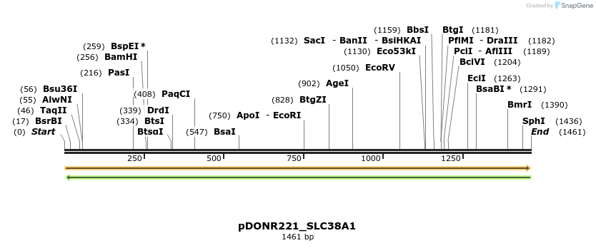 253590_map
