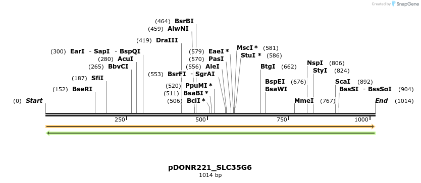 253592_map