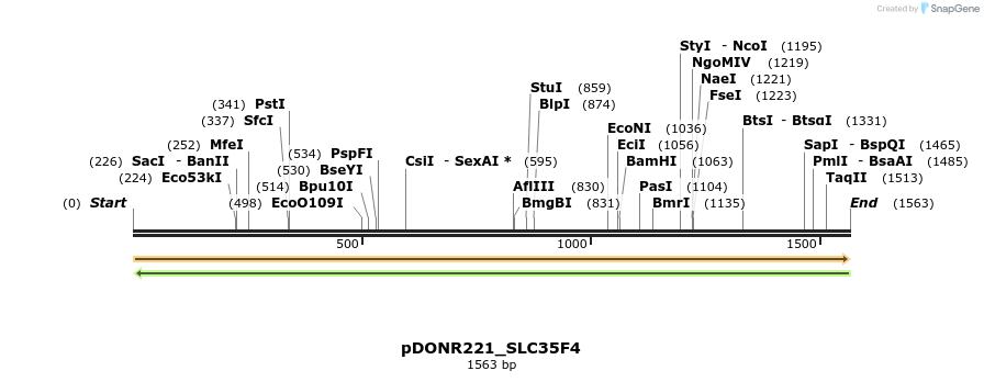 253594_map