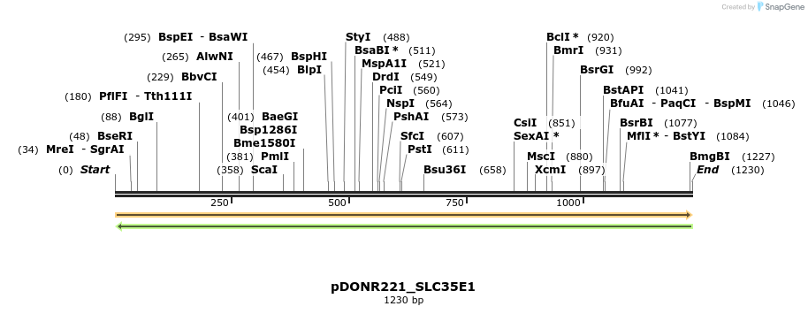 253596_map