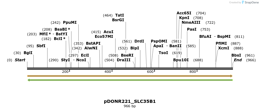 253598_map