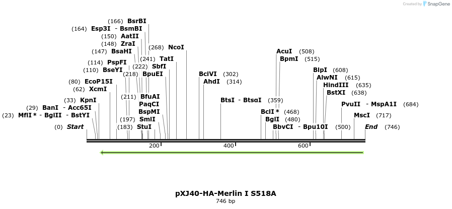 25360_map
