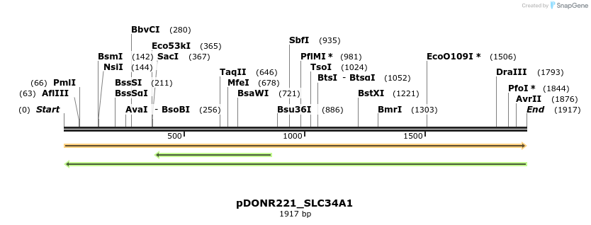 253600_map