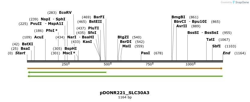 253602_map