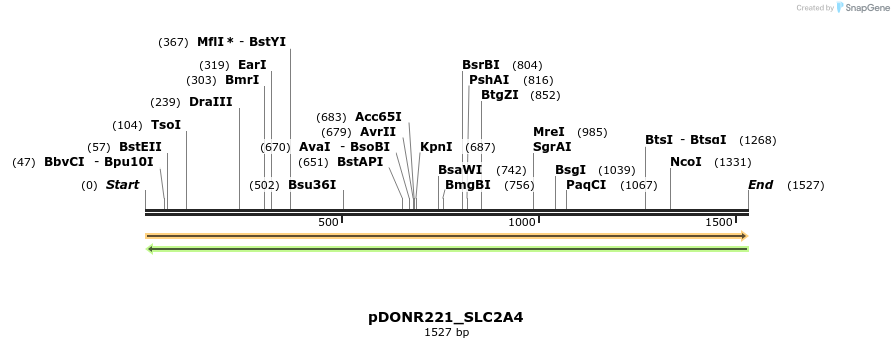 253604_map