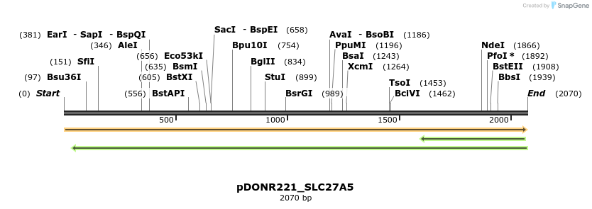 253608_map