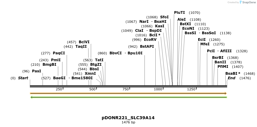 253610_map