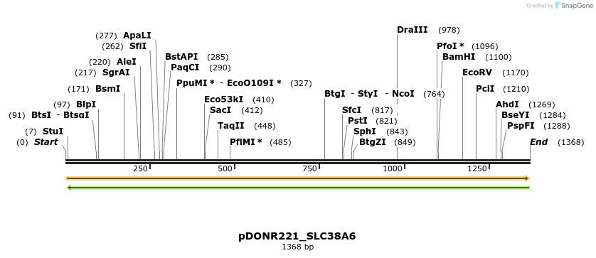 253612_map