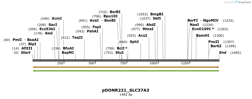 253614_map