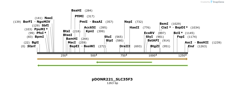 253618_map