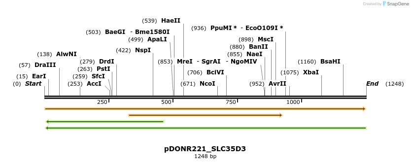253620_map