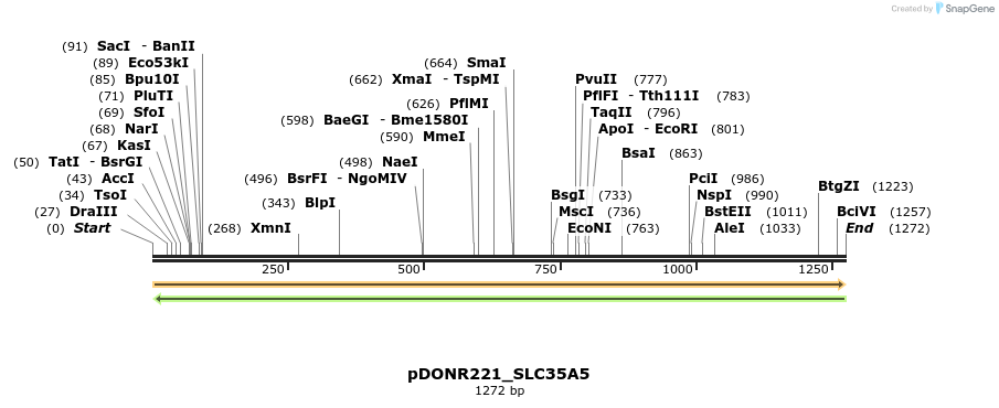 253622_map