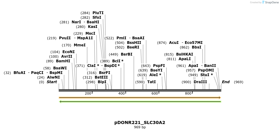 253626_map