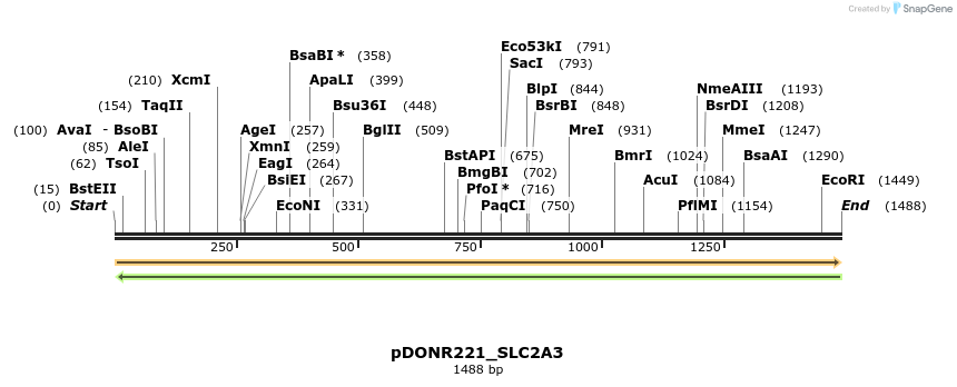 253628_map