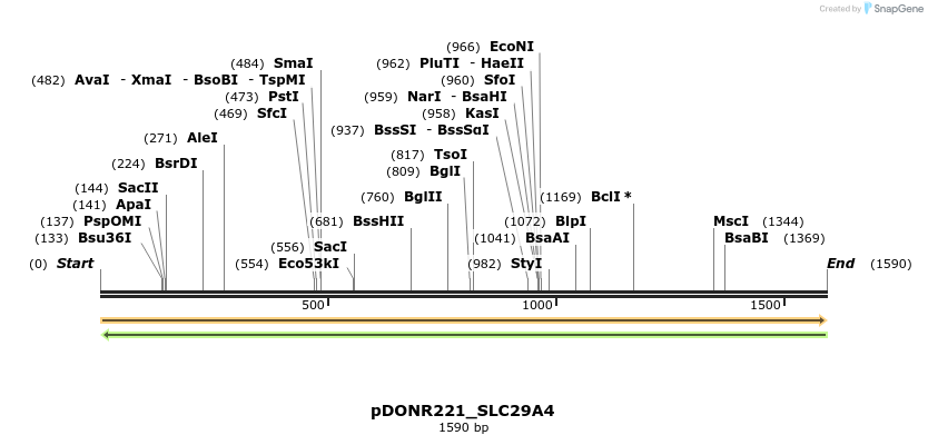 253630_map