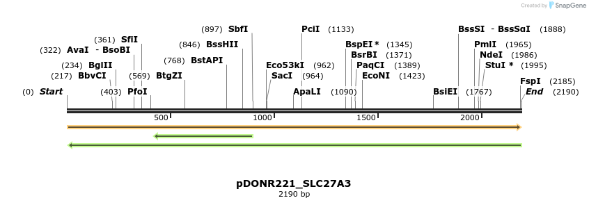 253632_map