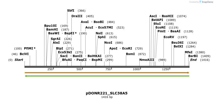 253636_map