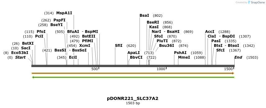 253638_map