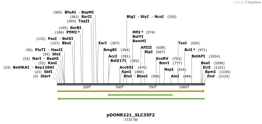 253642_map