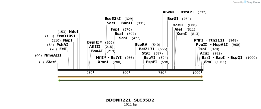 253644_map