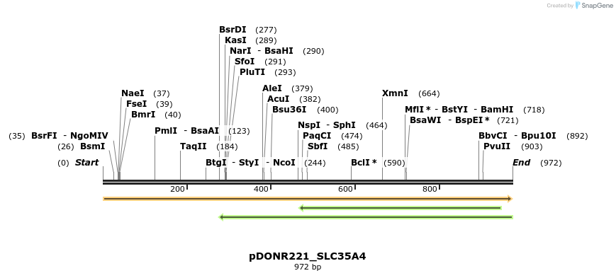 253646_map