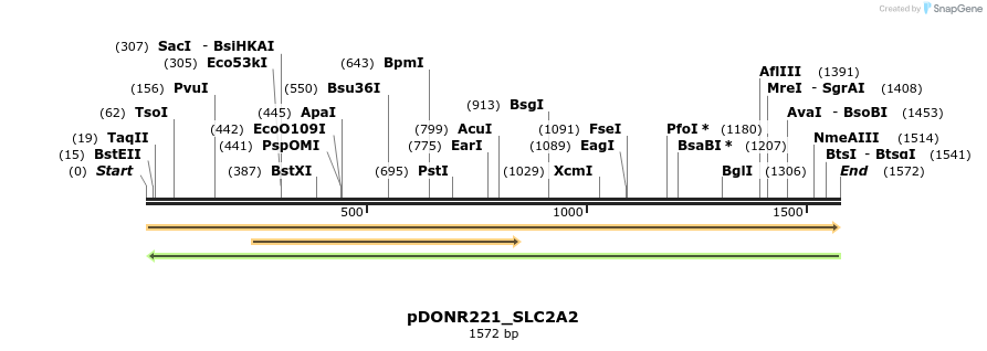 253652_map