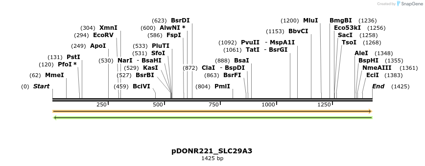 253654_map