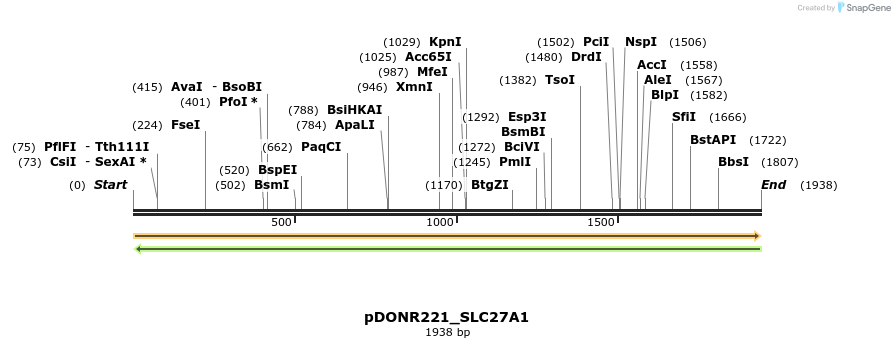 253656_map