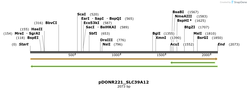 253658_map