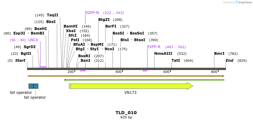 25366_map