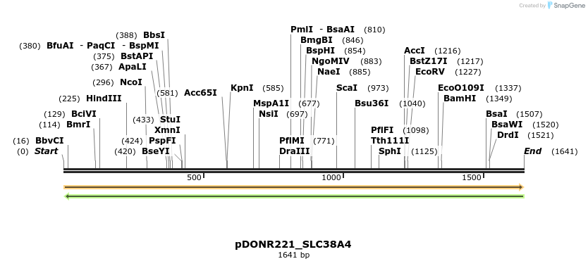253660_map
