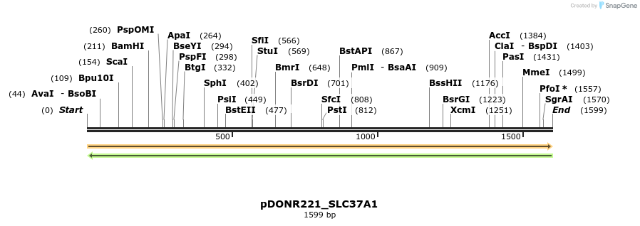 253662_map