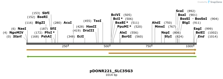 253664_map