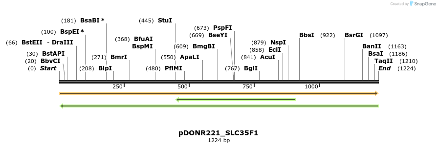 253666_map