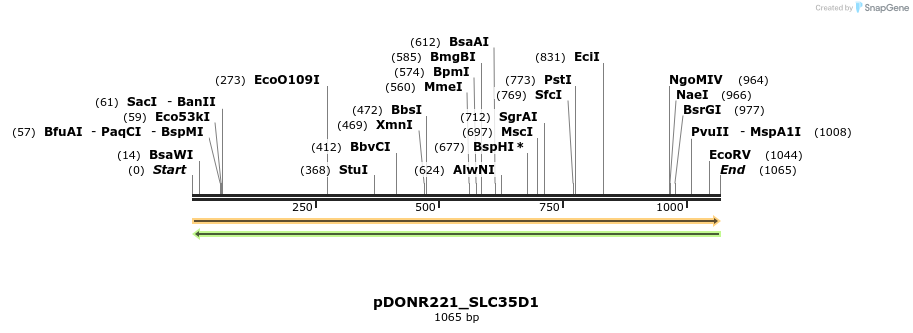 253668_map